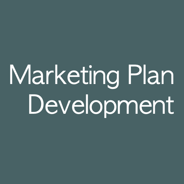 Marketing Plan Development